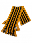 Premium College Scarf