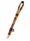 LED Lanyard