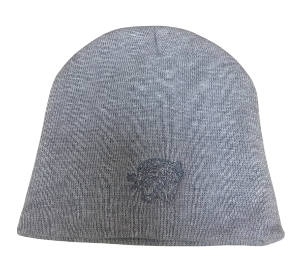 Grey Beanie 2024